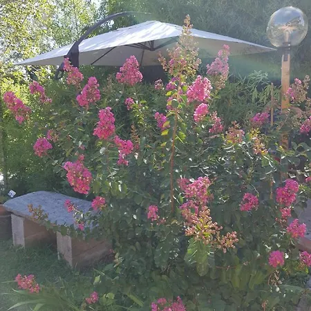 La Tana Dei Sognatori